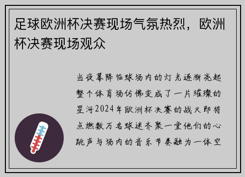 足球欧洲杯决赛现场气氛热烈，欧洲杯决赛现场观众