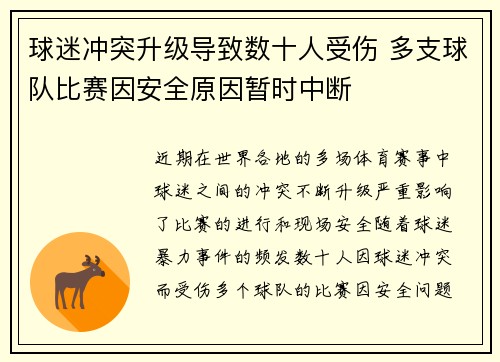 球迷冲突升级导致数十人受伤 多支球队比赛因安全原因暂时中断