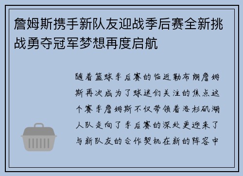 詹姆斯携手新队友迎战季后赛全新挑战勇夺冠军梦想再度启航