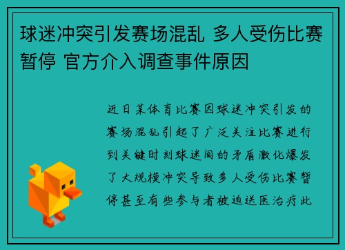 球迷冲突引发赛场混乱 多人受伤比赛暂停 官方介入调查事件原因